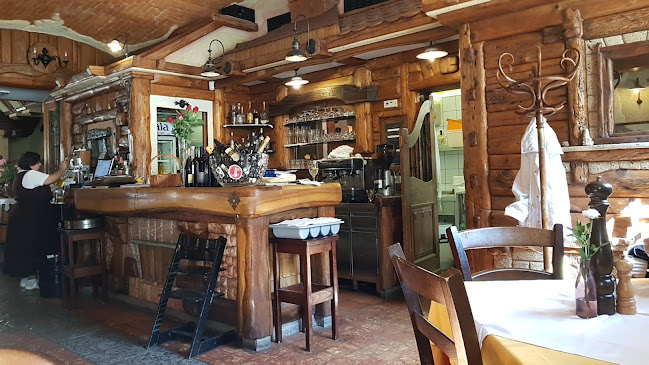 Comentarii opinii despre stalca pri vodniku