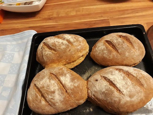 BAR GABRIELA GABRIJELA VIVIAN JENKO S.P. - Sežana