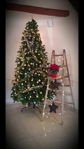 Gold pub Radlje - Radlje ob Dravi