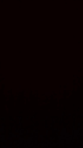 Partizanska ulica 2, 6330 Piran