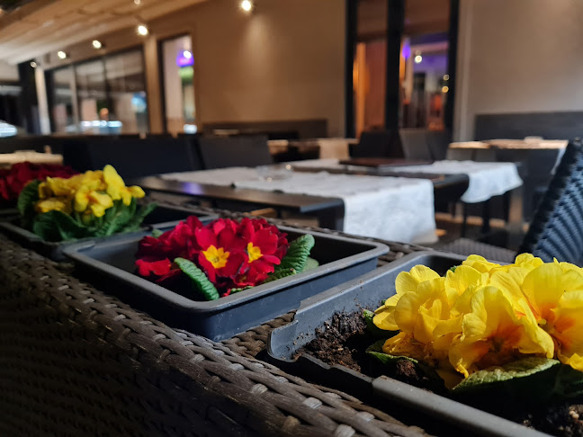 Opinii despre Pizzeria Soca 202 (Tolmin) în Tolmin - Gastronomija in gostinstvo