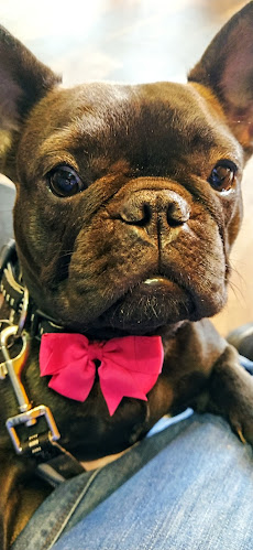 Caffe DeLUXE ALEJA - Ljubljana