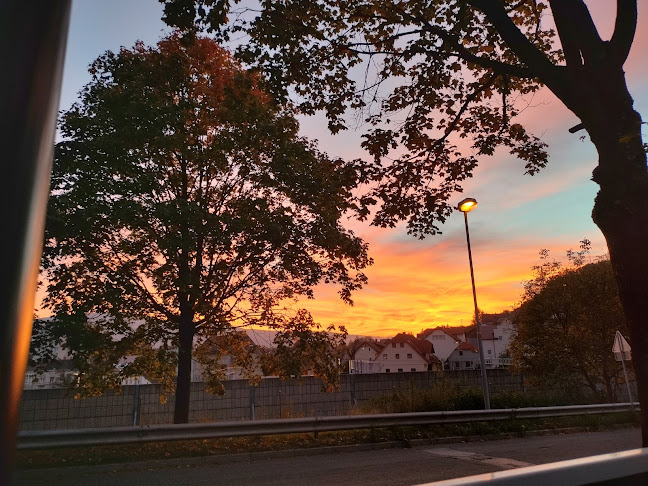 Beerhouse Bass Maribor - Gastronomija in gostinstvo