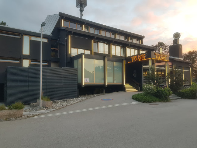 Comentarii opinii despre Lisjak Celjski