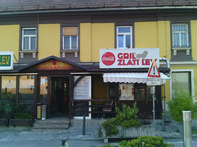 Comentarii opinii despre Gostilna Zlati Lev