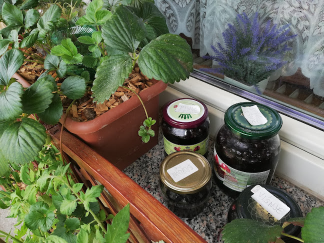 Opinii despre Bar Sandra în Petrovče - Gastronomija in gostinstvo