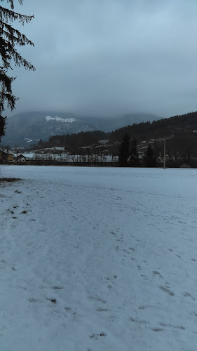 Comentarii opinii despre Buteko d.o.o.