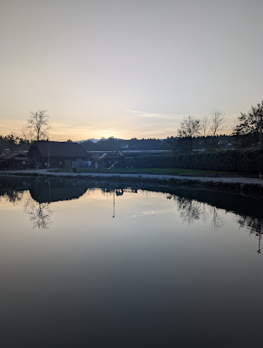 Comentarii opinii despre Ribnik Žeje