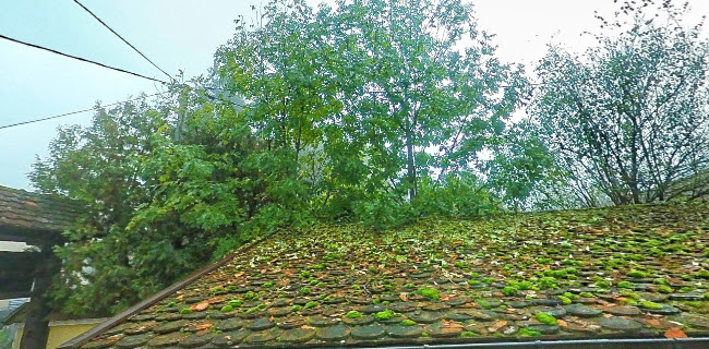 Vodnikova cesta 65a, 1000 Ljubljana