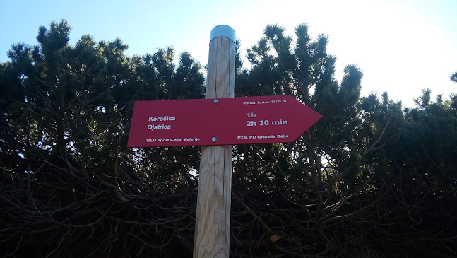 Podvolovljek 35, 3334 Luče