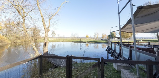 Oaza GRILL - Moravske Toplice