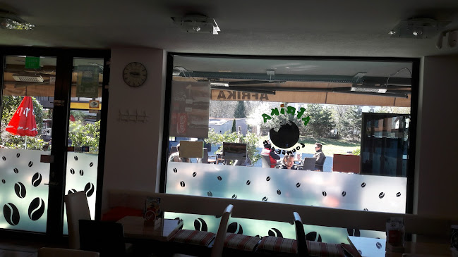 Afrika lounge bar - Ljubljana