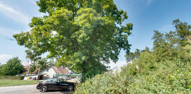 Okrepčevalnica pri Ančki, Simona Lempl, s.p. - Gastronomija in gostinstvo