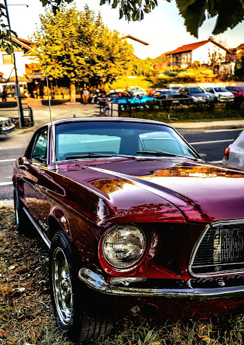 Bar pri žagi, Dušan Krajnc s.p. - Gastronomija in gostinstvo