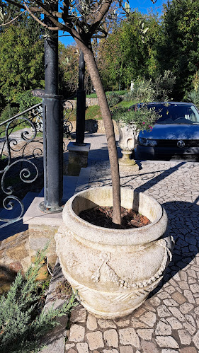 Villa Andor restaurant & hotel