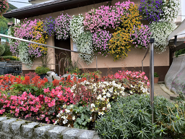 Okrepčevalnica Likar Anja Rovan s.p. - Col