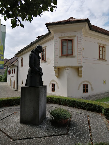 Vanilija Caffe gostinstvo, Sanda Lukavica s.p. - Gastronomija in gostinstvo