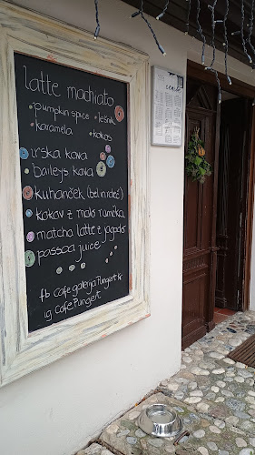 Cafe galerija Pungert