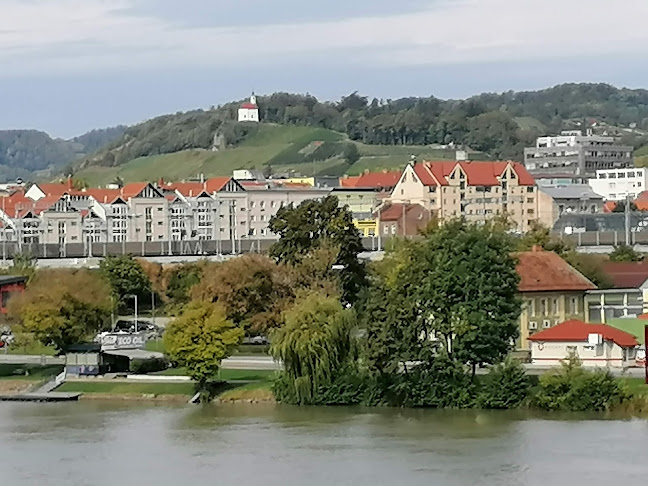 Caffe Kostanj, gostinstvo, d.o.o. - Gastronomija in gostinstvo