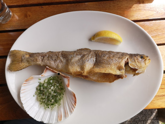 Ribnik Žeje - Gastronomija in gostinstvo