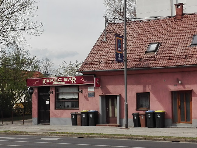 Kekec Bar - Gastronomija in gostinstvo