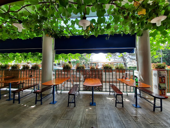 Ribja kantina Fritolin , Mirabela d.o.o.