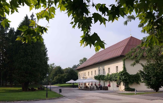 Kavarna Zois - Gastronomija in gostinstvo