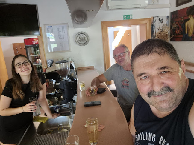 Bar Menišan Romana Fabijan s.p. - Gastronomija in gostinstvo