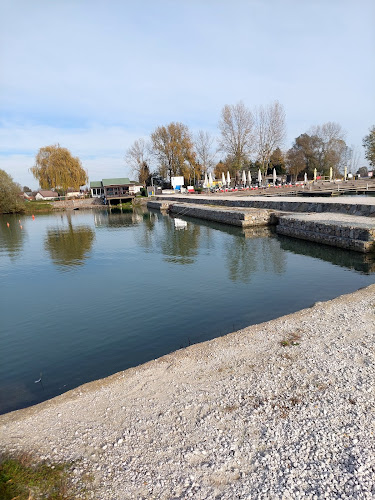 Comentarii opinii despre Ranca Ptuj