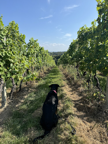 Gostilna Ajda, David Žunko, s.p. - Gastronomija in gostinstvo