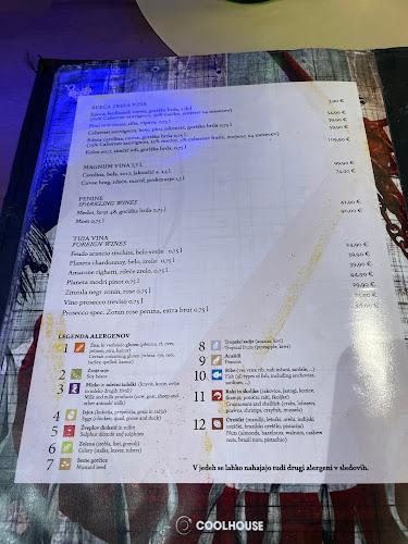 Cool House Vič - Ljubljana