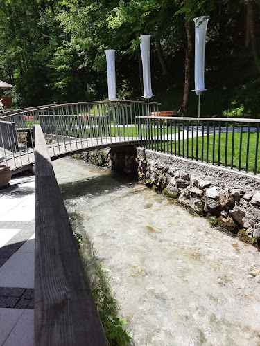 Comentarii opinii despre Gostilna Pod Krvavcem