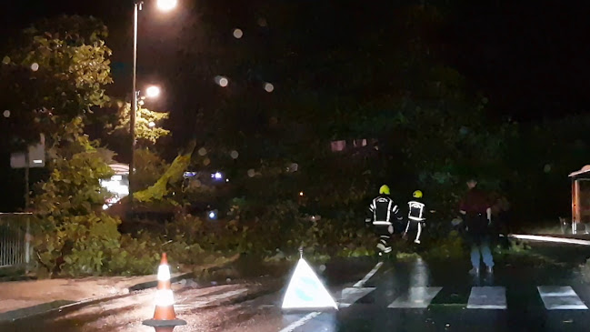 Pizzeria Burin Piran - Piran