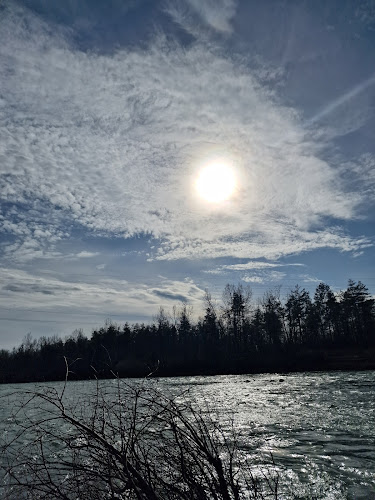 Comentarii opinii despre Oradela