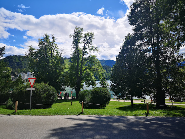 Comentarii opinii despre Vinoteka Zdravljica