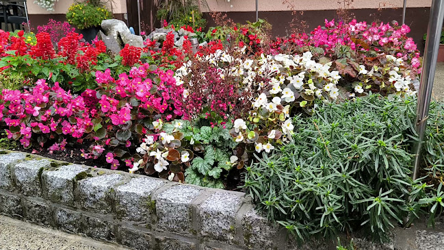 Okrepčevalnica Likar Anja Rovan s.p.