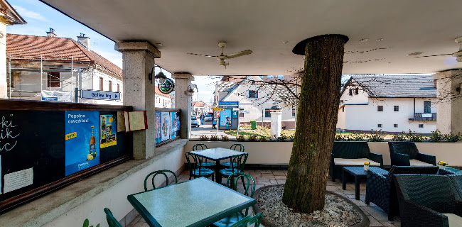 Gostilna Šeligo Marjan Šeligo s.p. - Trebnje