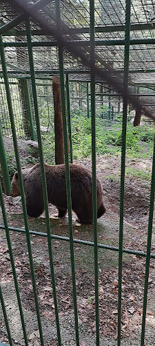 Comentarii opinii despre GOSTILNA LOVSKI DOM STOL