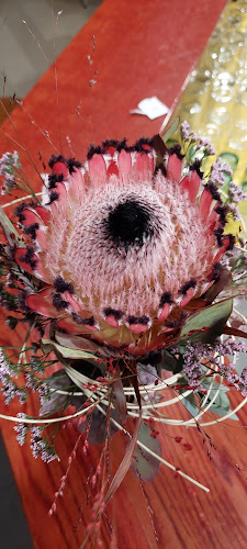 Opinii despre Bar vogal Jasmina Kotnik Saksida s.p. în Ajdovščina - Gastronomija in gostinstvo