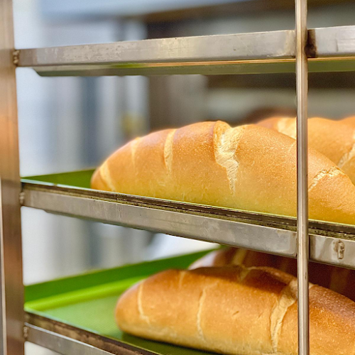 Trg Izgnancev 2, 8250 Brežice