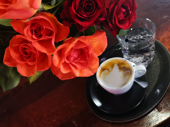 Bar Veritas - Gastronomija in gostinstvo