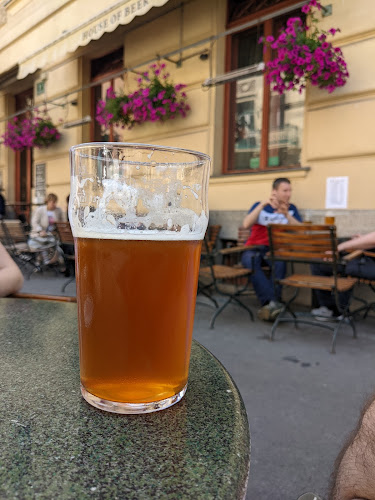 Comentarii opinii despre House of Beer