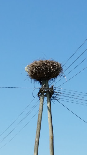 Gostilna Pavličič Boštjan Pavličič s.p. - Gastronomija in gostinstvo
