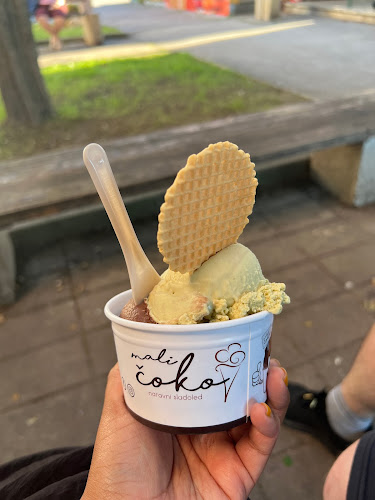 Mali čoko d.o.o., proizvodnja in prodaja naravnega sladoleda - Slovenske Konjice