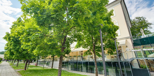 Mia Mia - Rogaška Slatina