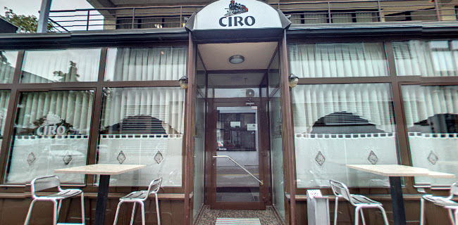 Opinii despre Gostilna in pizzerija Ciro în Ljubljana - Gastronomija in gostinstvo