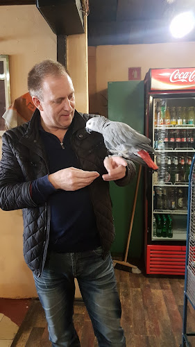 Pohorska cesta 17b, 2380 Slovenj Gradec