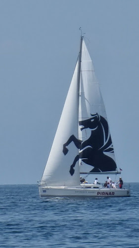 Labi's bar Piran - Gastronomija in gostinstvo