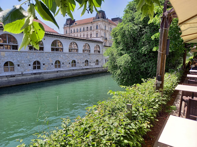 Petkovškovo nabrežje 9, 1000 Ljubljana