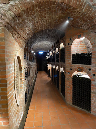 Comentarii opinii despre Dom penine, Radgonske gorice d.o.o.